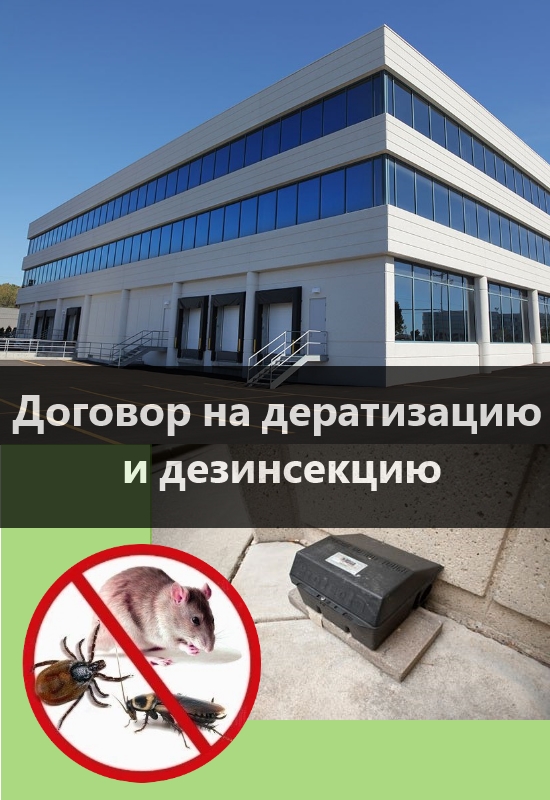 дератизация и дезинсекция пермь